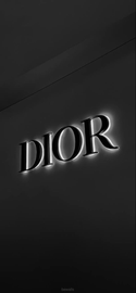 Dior B22