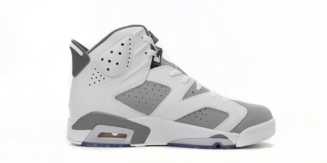 Jordan 6 Retro 'Cool Grey'