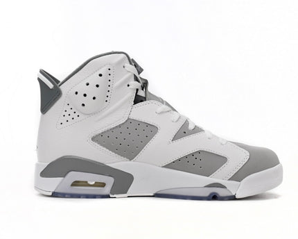 Jordan 6 Retro 'Cool Grey'
