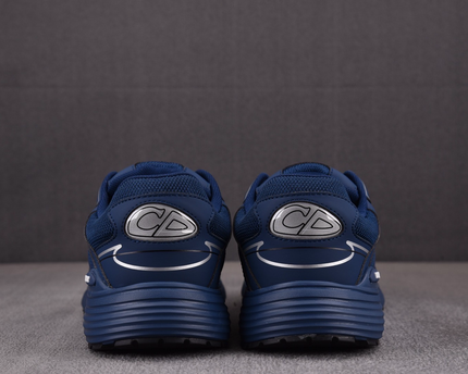Dior B30