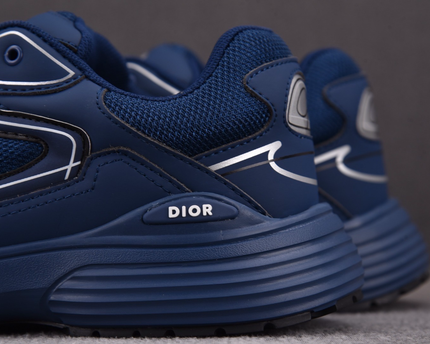 Dior B30