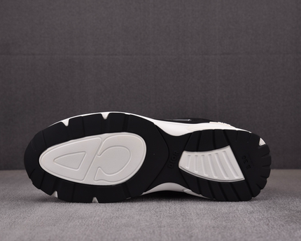 Dior B30