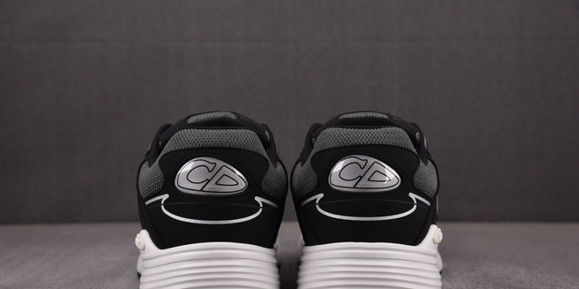 Dior B30