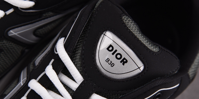 Dior B30