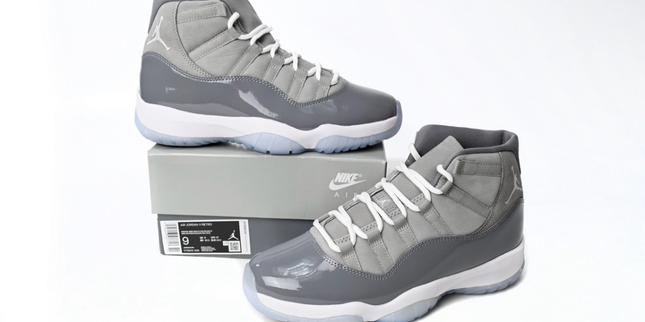 Jordan 11 Cool Grey