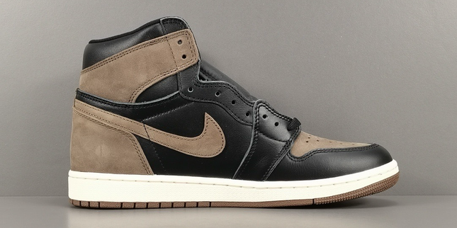Jordan 1