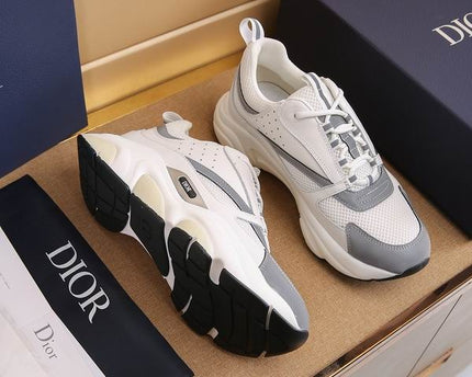 Dior B22